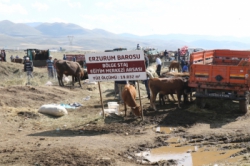 Erzurum Barosu milyonluk arsayı kime kaptırdı?